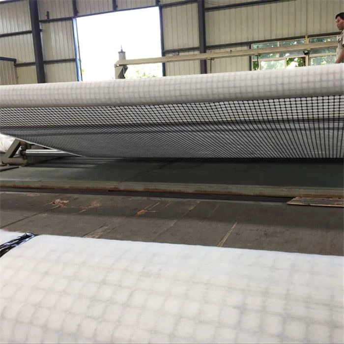 Géocomposite géogrille biaxiale PP