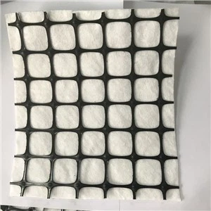 Géogrille composite biaxiale PP